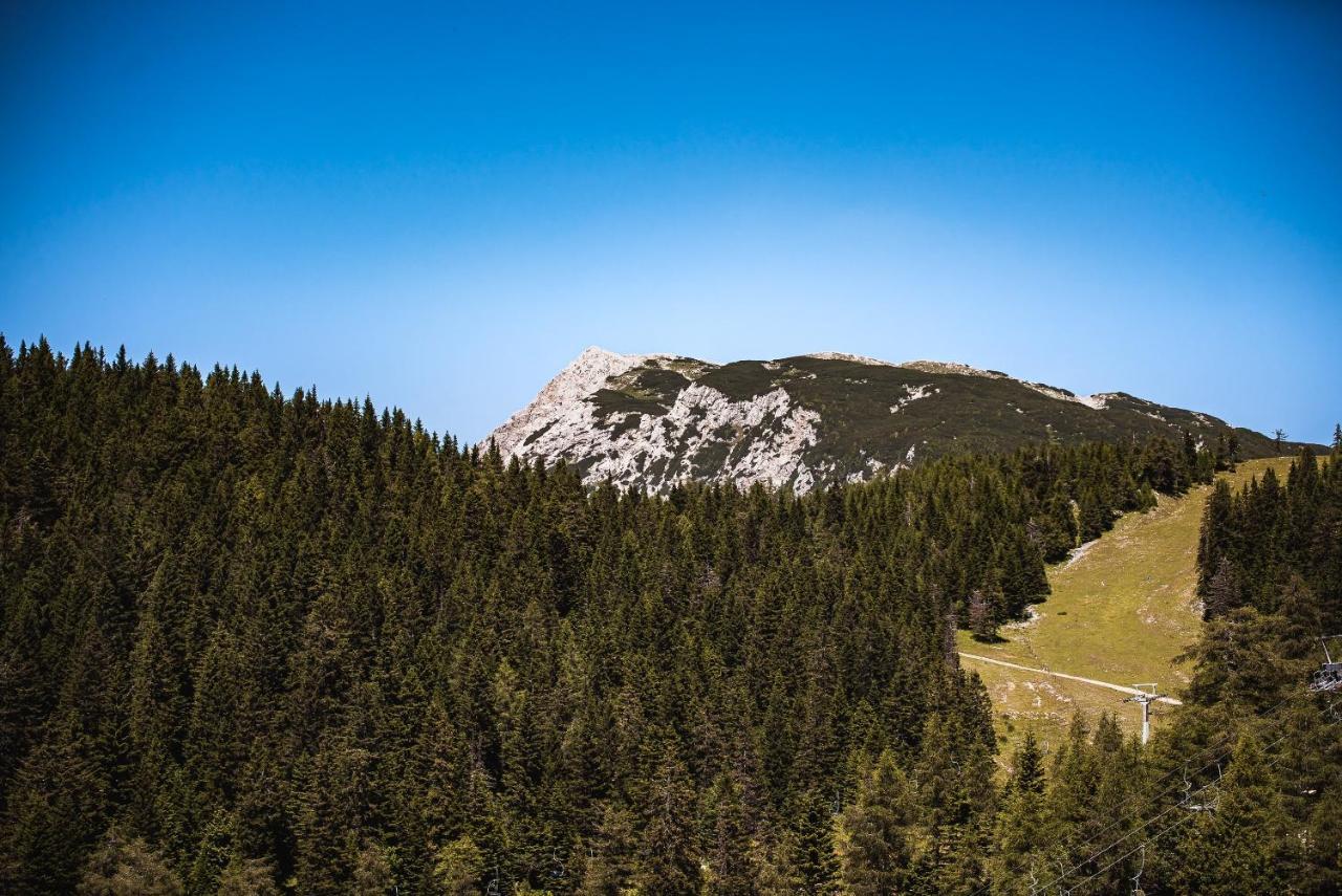 Apartments Zvoh, Krvavec, Ski-In, Ski-Out Церклье-на-Гореньскем Экстерьер фото